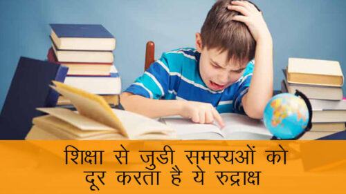 शिक्षा के क्षेत्र से जुडी समस्याओं को दूर करने के लिए धारण करें ये अभिमंत्रित 4 मुखी रुद्राक्ष