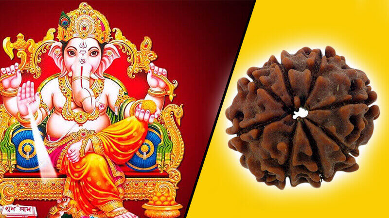 भाग्योदय के लिए धारण करें भगवान् गणेश का ये वरदान आठ मुखी रुद्राक्ष