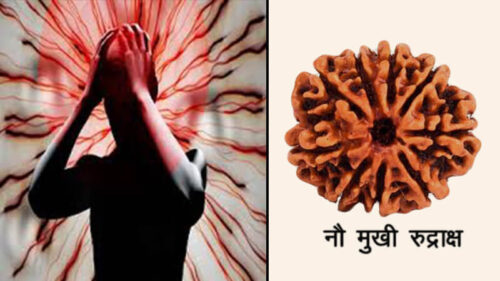 शारीरिक और मानसिक कष्टों से हैं परेशान तो ऐसे धारण करें 9 मुखी रुद्राक्ष