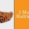 एक मुखी रुद्राक्ष : जानिए फायदे, महत्त्व और धारण करने के तरीके एक मुखी रुद्राक्ष : जानिए फायदे, महत्त्व और धारण करने के तरीके